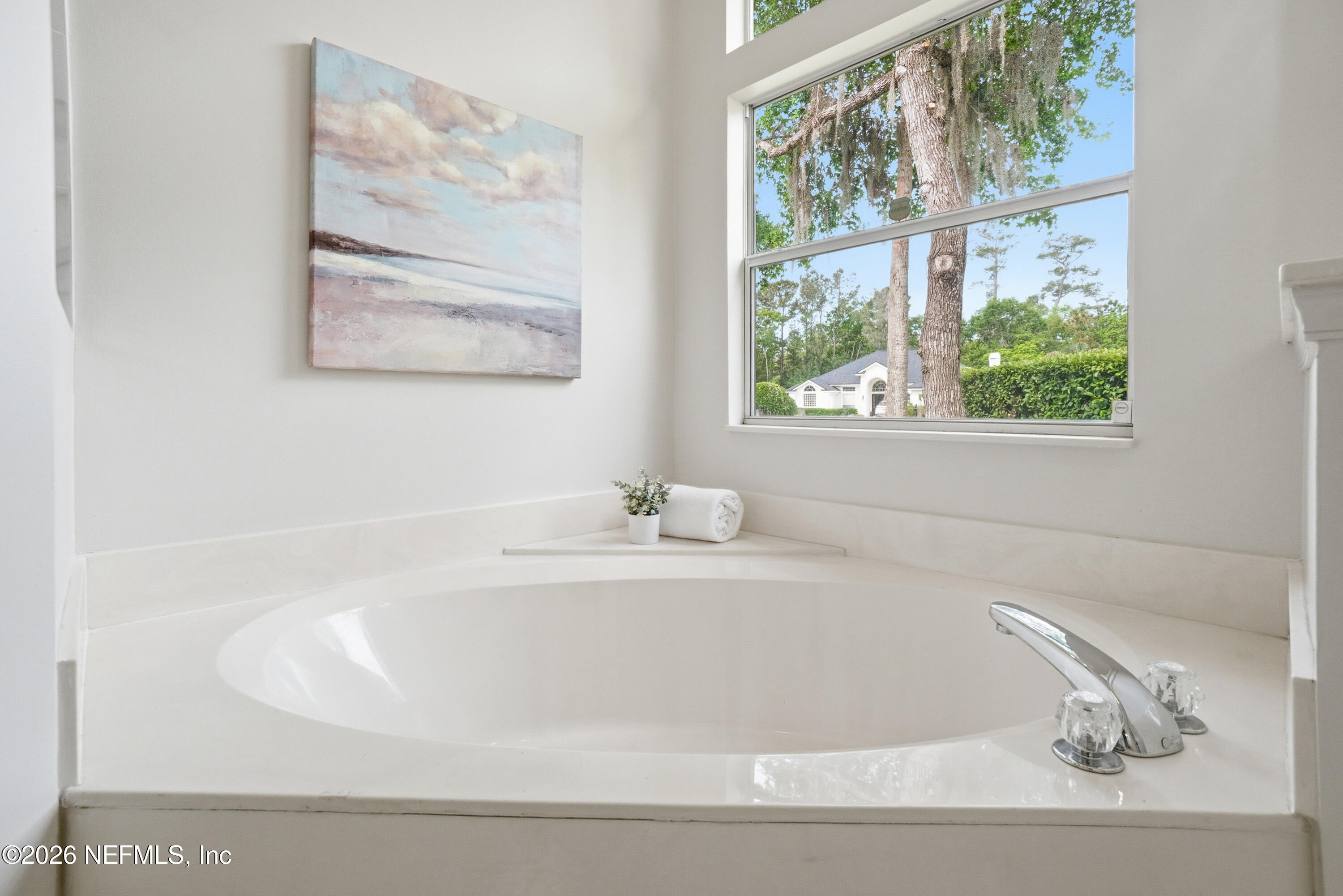 485 Big Tree Road Ponte Vedra Beach, FL 32082 - Photo 26 of 48 Tub 2