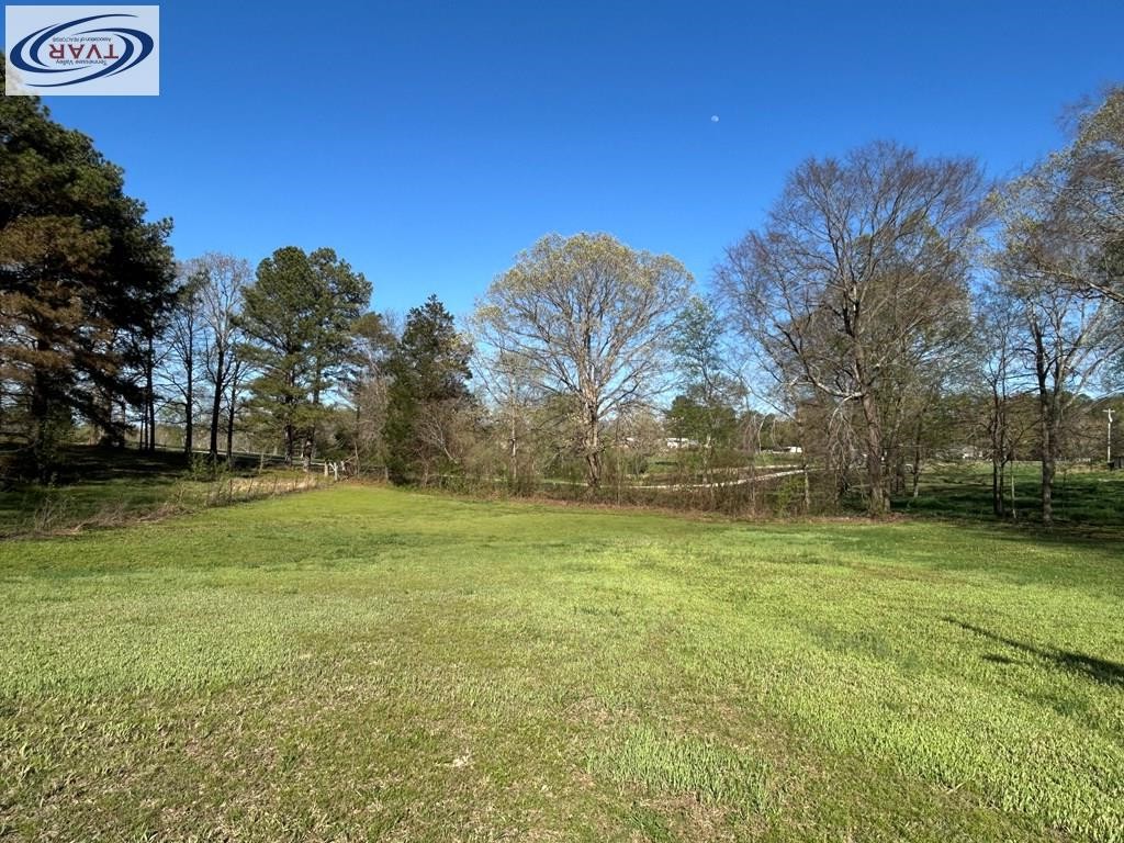 4460 Point Mason Road Big Sandy, TN 38221 - Photo 5 of 22 a backyard of a house with lots of green space
