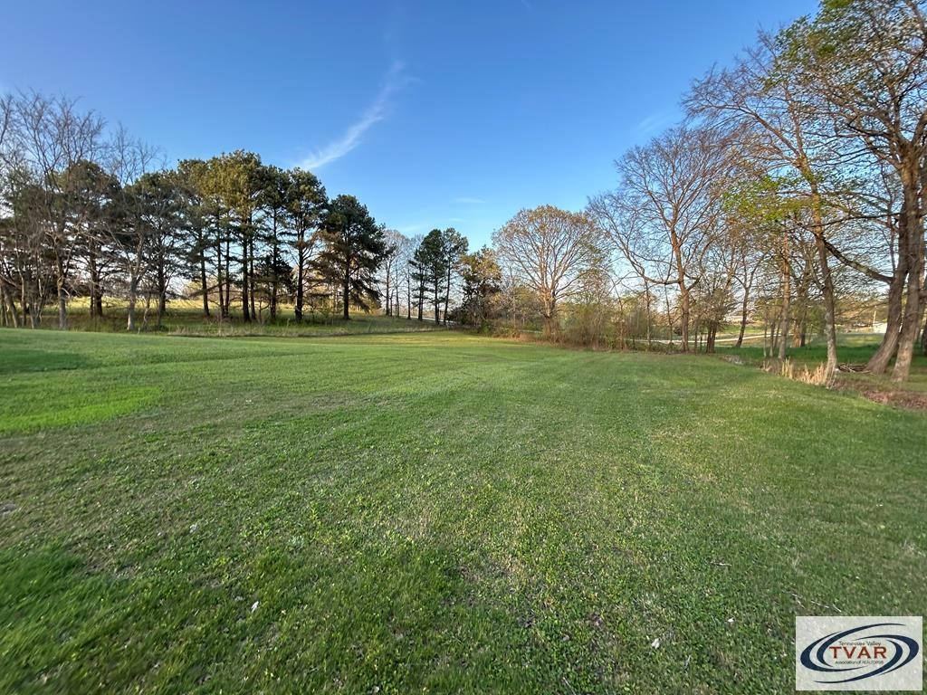 4460 Point Mason Road Big Sandy, TN 38221 - Photo 6 of 22 a view of a field of grass and trees