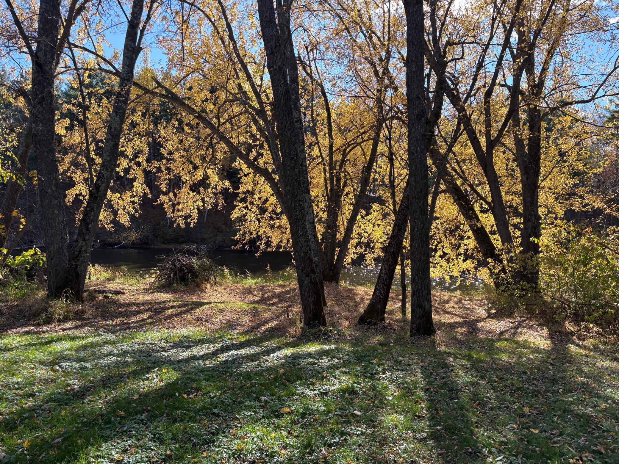 28104 Wilderness Road Pine City, MN 55063 - Photo 16 of 37