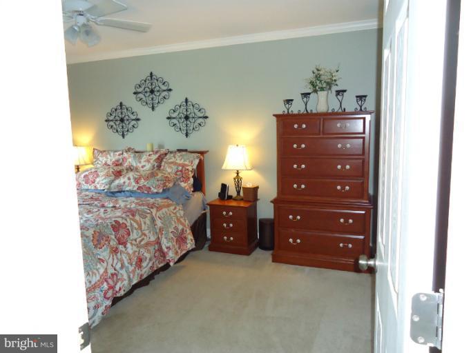 501 Prospect Boulevard, Unit A25 Frederick, MD 21701 - Photo 12 of 14 a bedroom with a bed and a painting on the wall