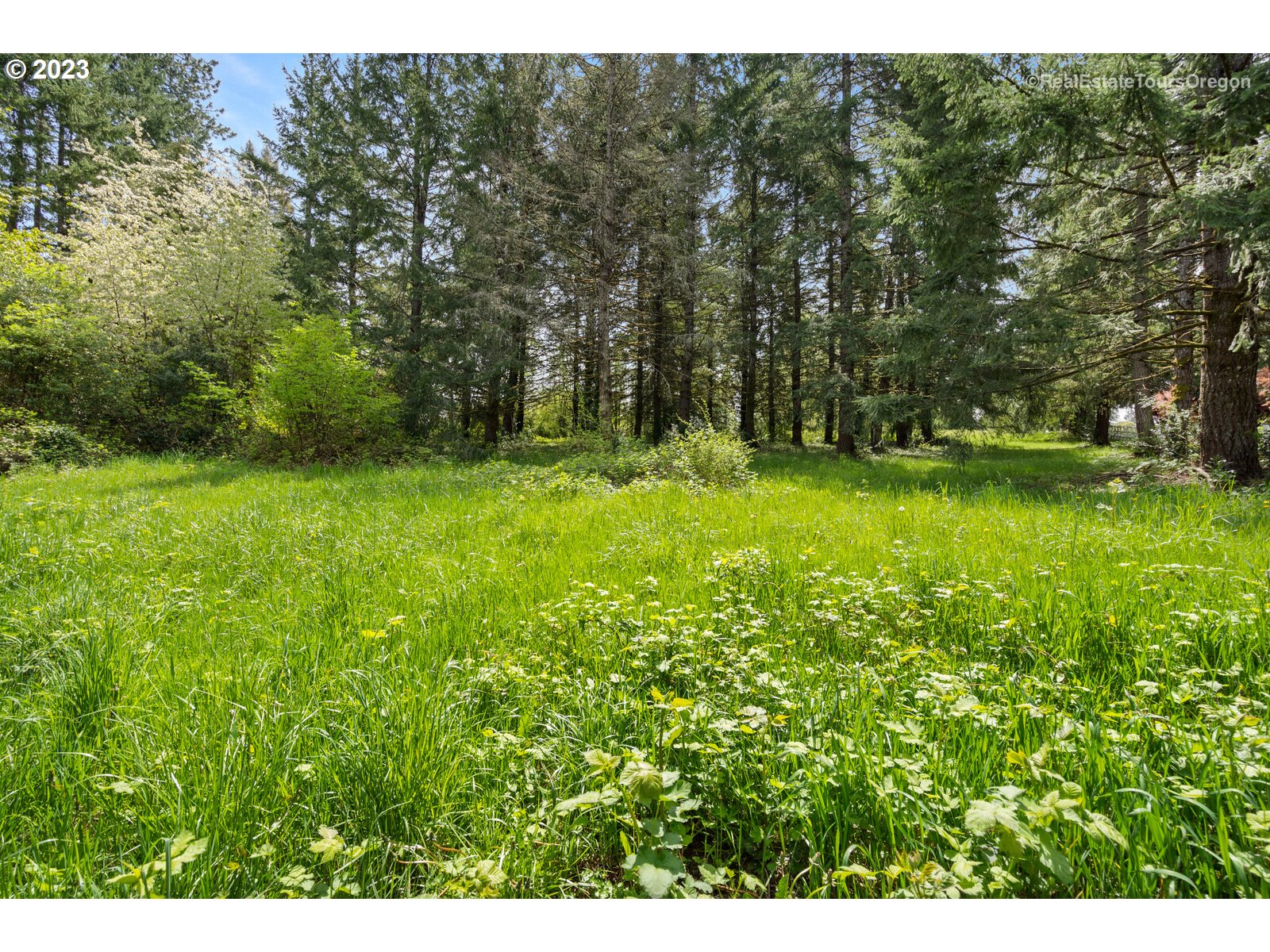 0 Southeast Tillstrom Road Damascus, OR 97089 - Photo 1 of 21 a view of yard with green space