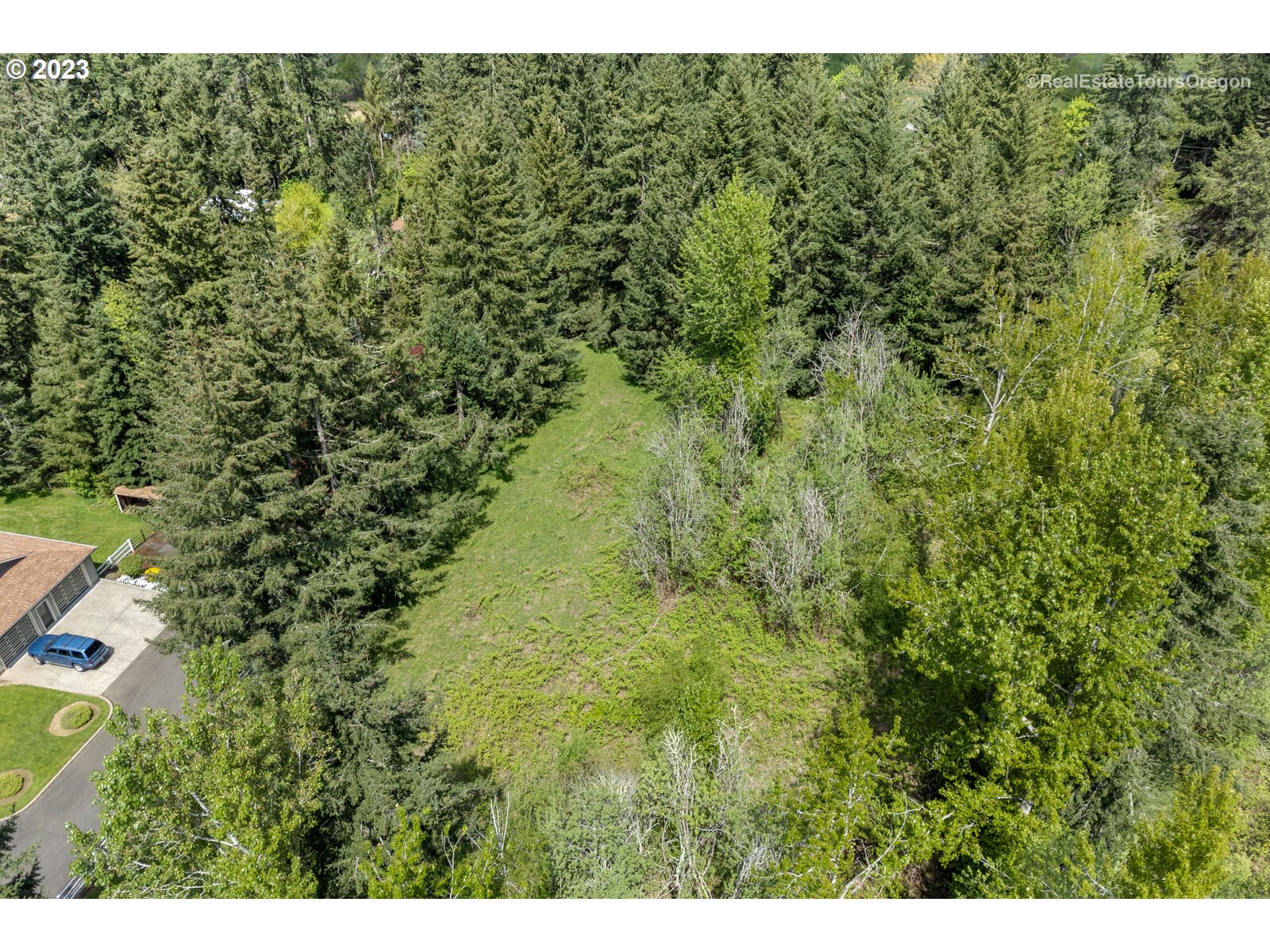 0 Southeast Tillstrom Road Damascus, OR 97089 - Photo 18 of 21 a view of a lush green forest