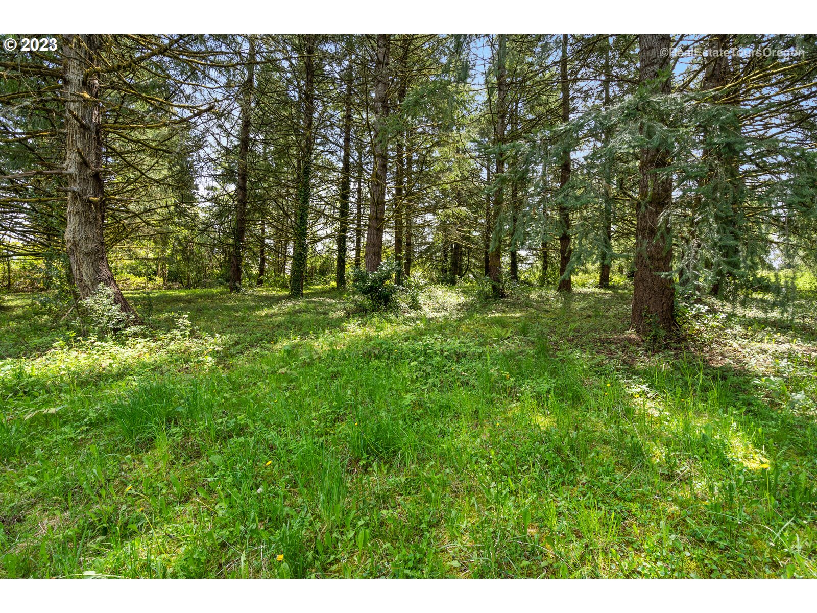 0 Southeast Tillstrom Road Damascus, OR 97089 - Photo 2 of 21 a big yard with lots of green space