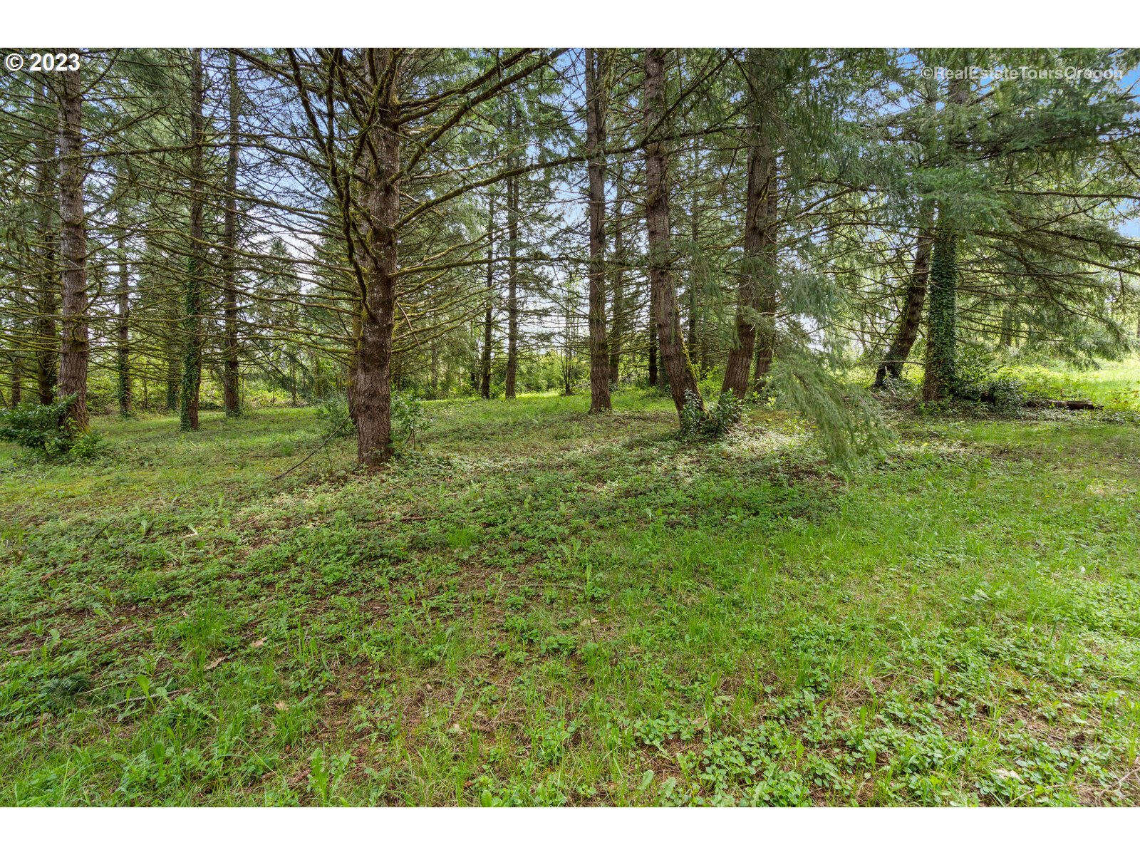 0 Southeast Tillstrom Road Damascus, OR 97089 - Photo 3 of 21 a big yard with lots of green space