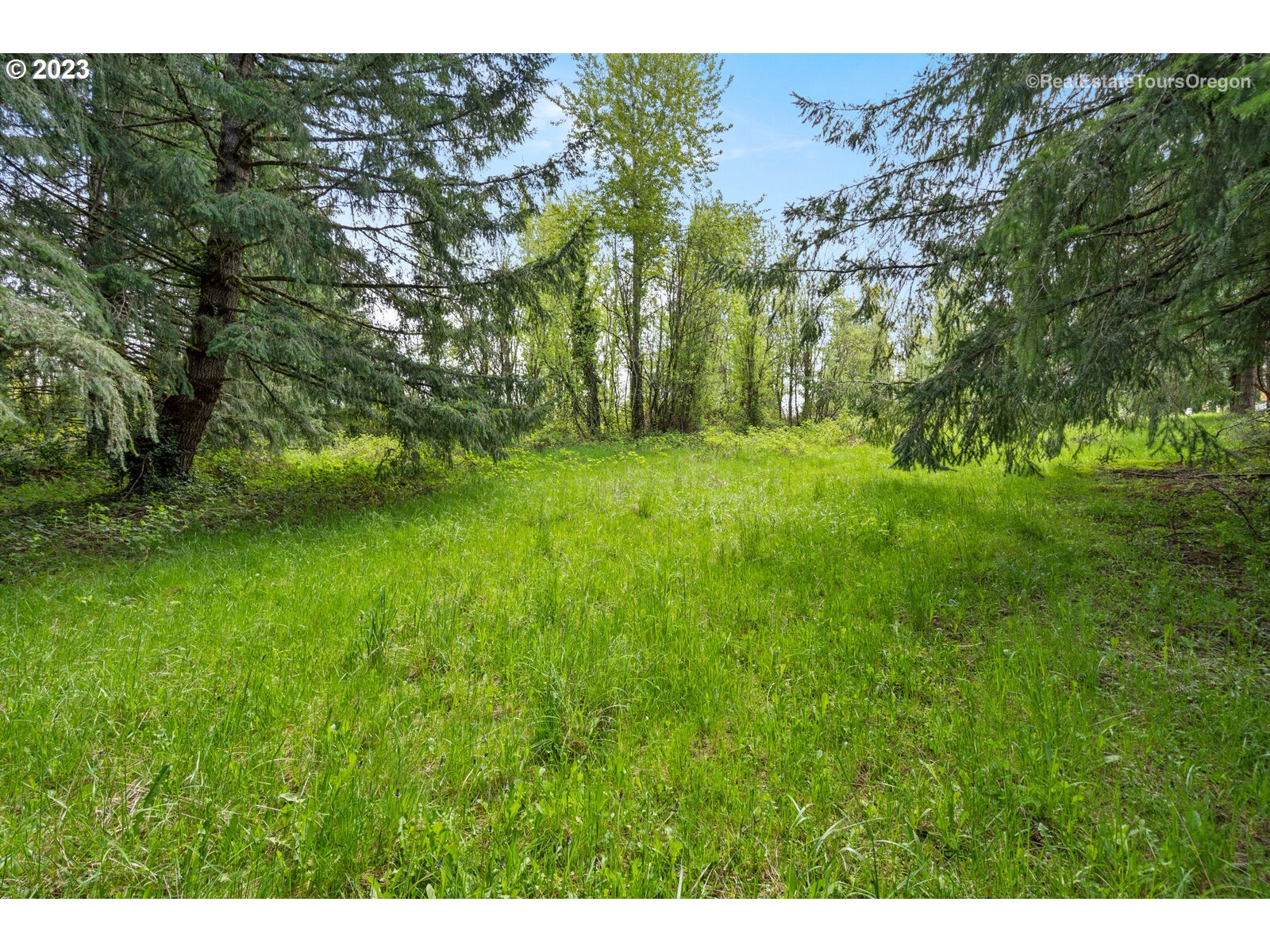 0 Southeast Tillstrom Road Damascus, OR 97089 - Photo 4 of 21 a view of a yard
