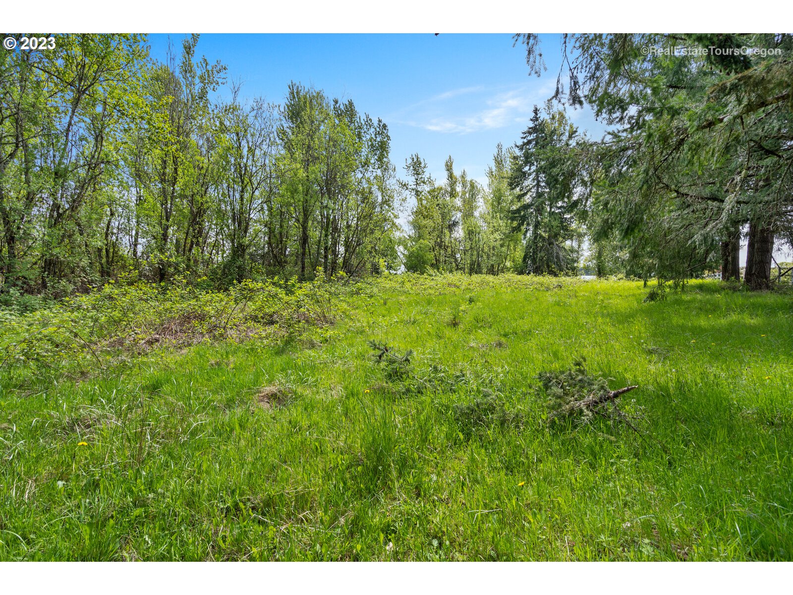 0 Southeast Tillstrom Road Damascus, OR 97089 - Photo 5 of 21 a view of a lush green space