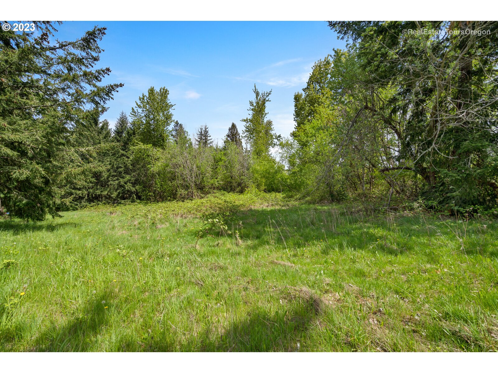 0 Southeast Tillstrom Road Damascus, OR 97089 - Photo 6 of 21 a view of a green field with lots of bushes
