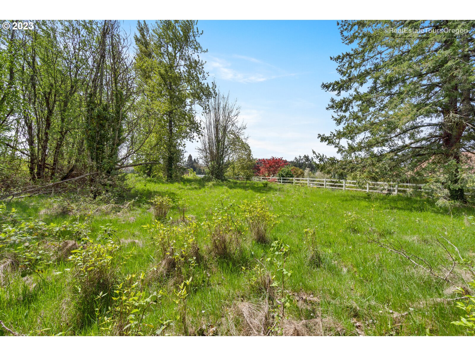 0 Southeast Tillstrom Road Damascus, OR 97089 - Photo 7 of 21 a grassy field with trees in the background
