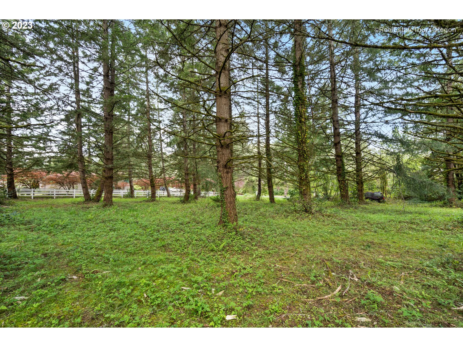 0 Southeast Tillstrom Road Damascus, OR 97089 - Photo 9 of 21 a view of an outdoor space with a lake view