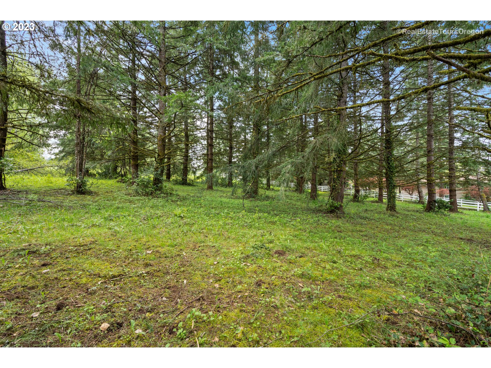 0 Southeast Tillstrom Road Damascus, OR 97089 - Photo 10 of 21 a view of outdoor space with trees all around