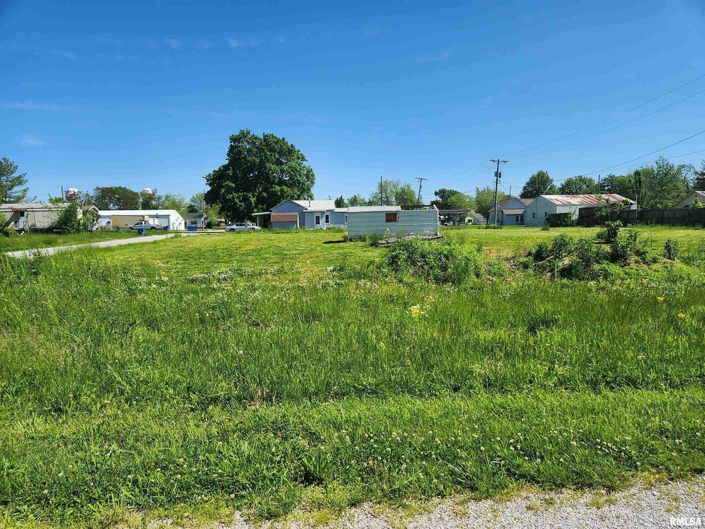 64 South 2nd Street Ashley, IL 62808 - Photo 2 of 3 a view of a green field with lots of bushes