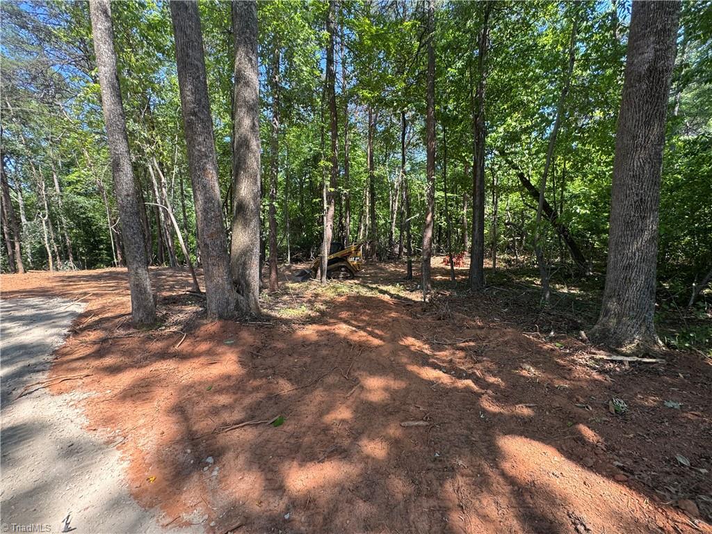 0 Brims Grove Road Pinnacle, NC 27043 - Photo 3 of 10