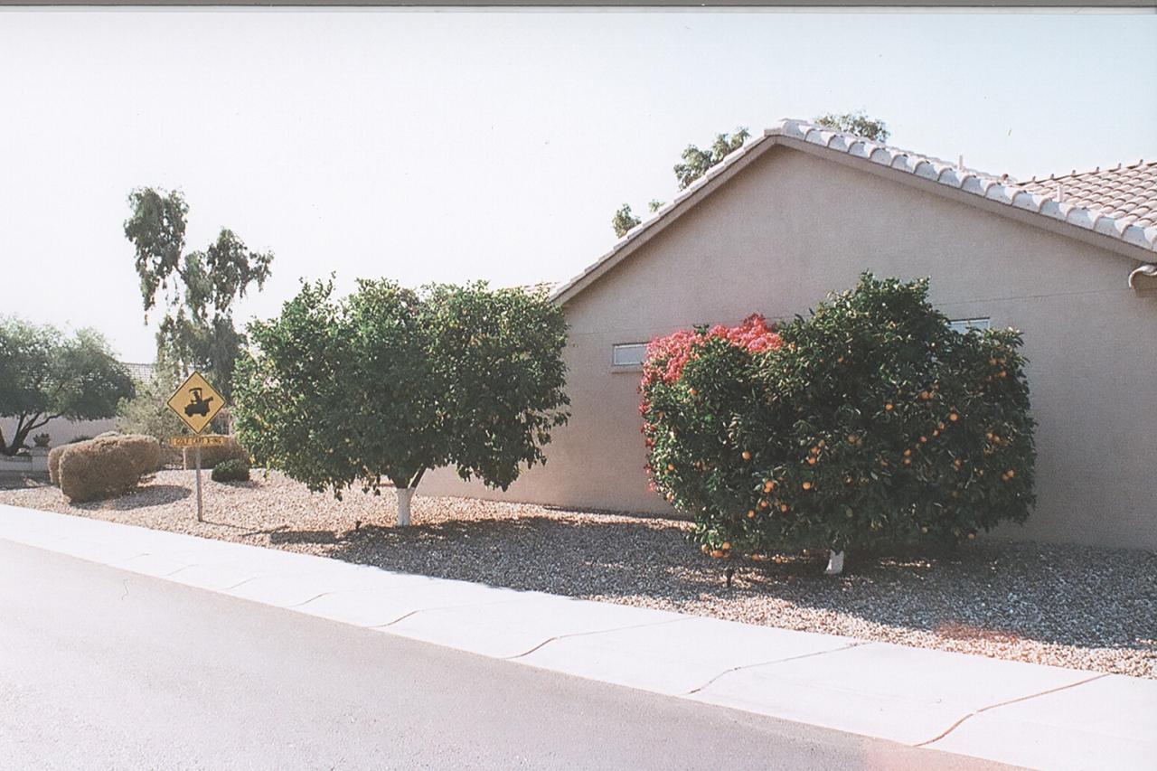 14903 Piccadilly Road Goodyear, AZ 85395 - Photo 4 of 16 Street side view