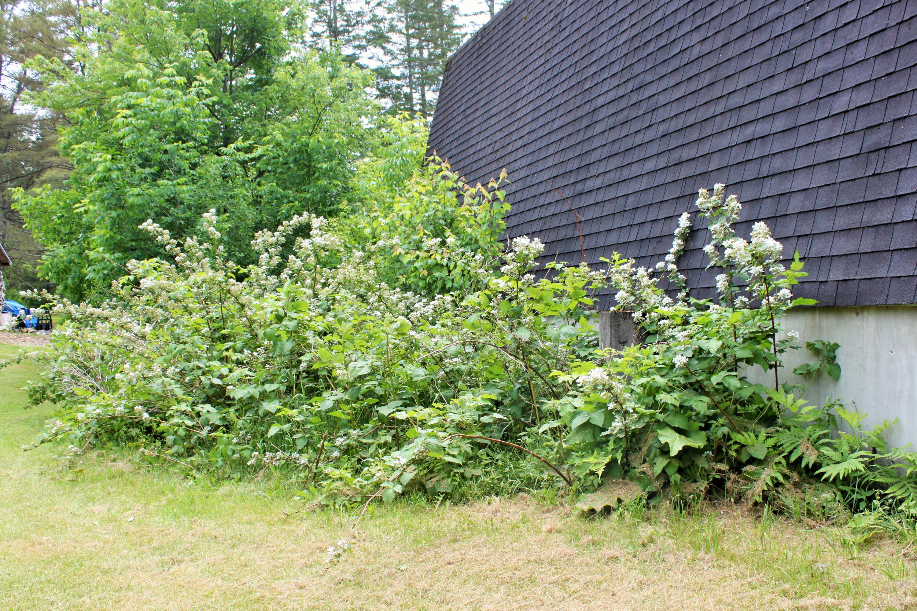 94 Blaisdell Road Newport, ME 04953 - Photo 83 of 125 30