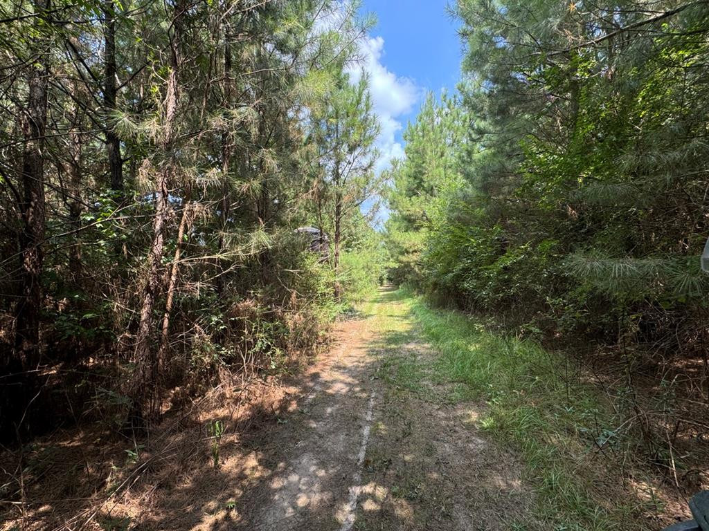 4999 Gibson Road McComb, MS 39648 - Photo 19 of 22 Photo 19