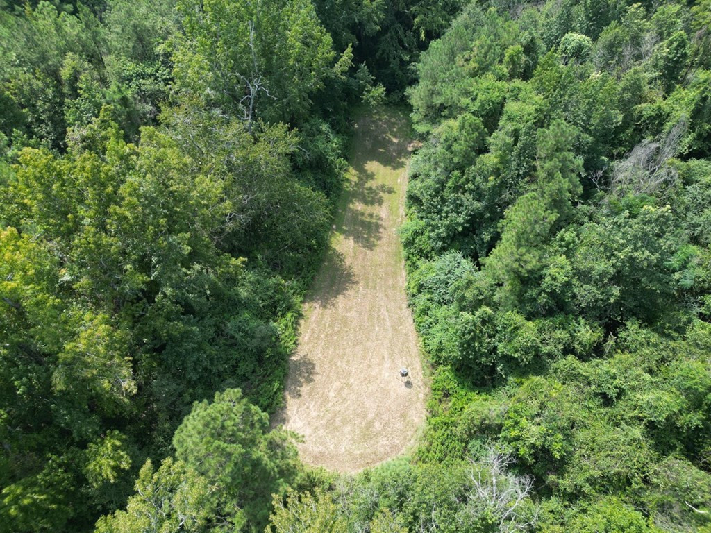 4999 Gibson Road McComb, MS 39648 - Photo 6 of 22 Photo 6