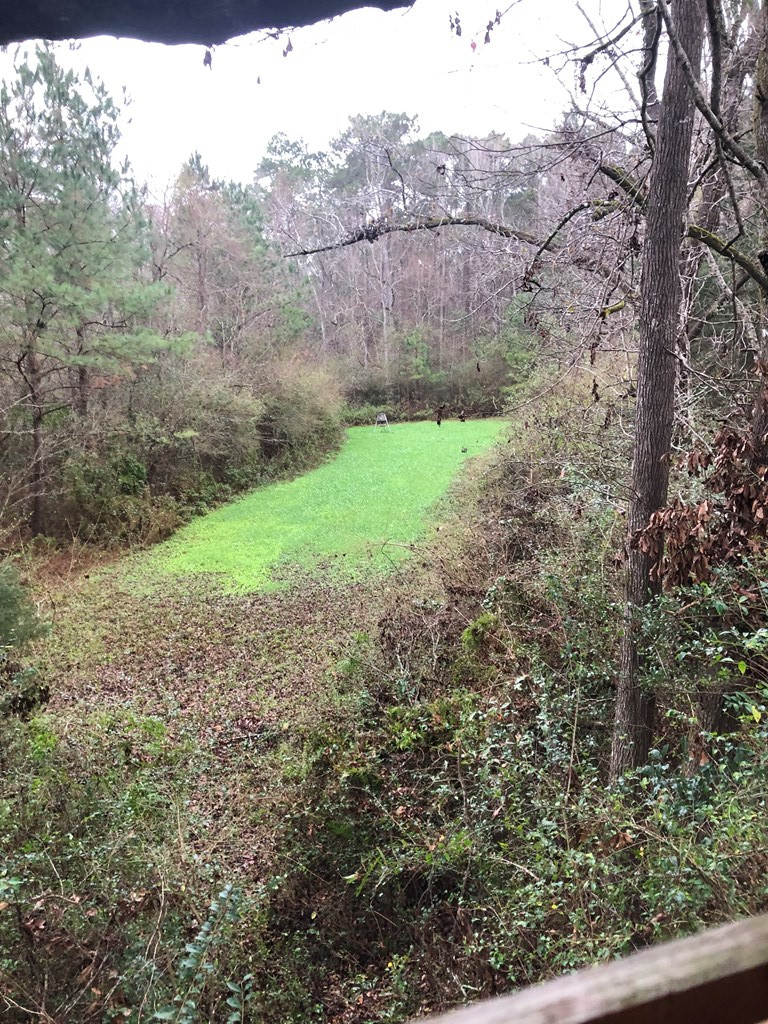 4999 Gibson Road McComb, MS 39648 - Photo 7 of 22 Photo 7