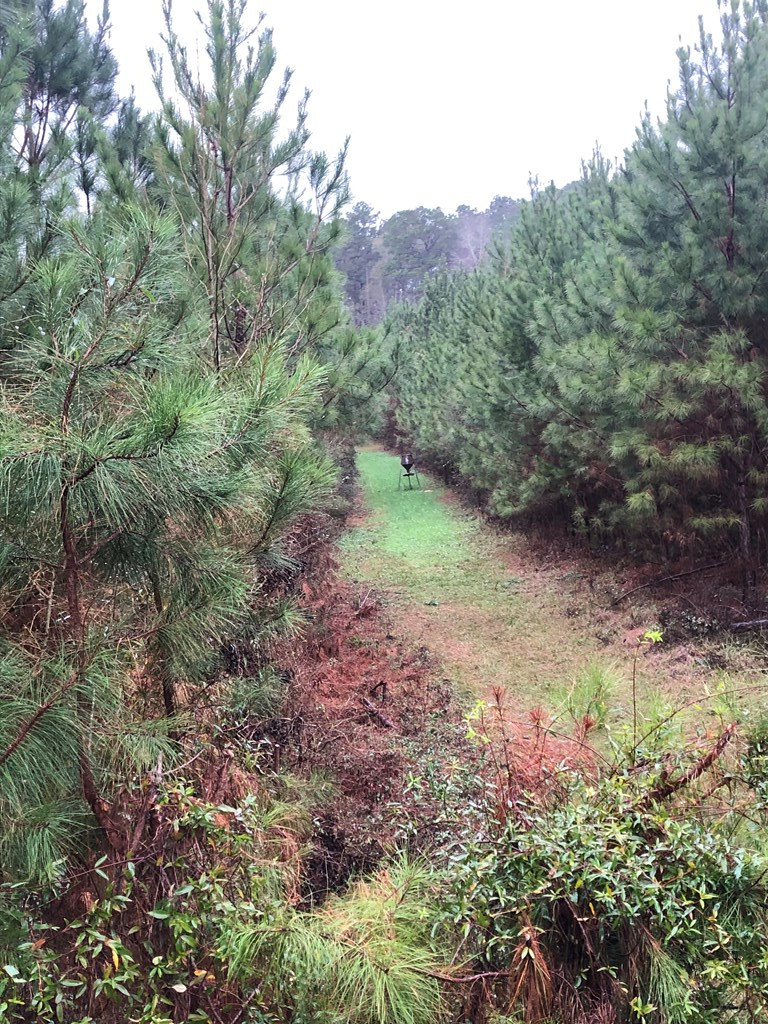 4999 Gibson Road McComb, MS 39648 - Photo 8 of 22 Photo 8