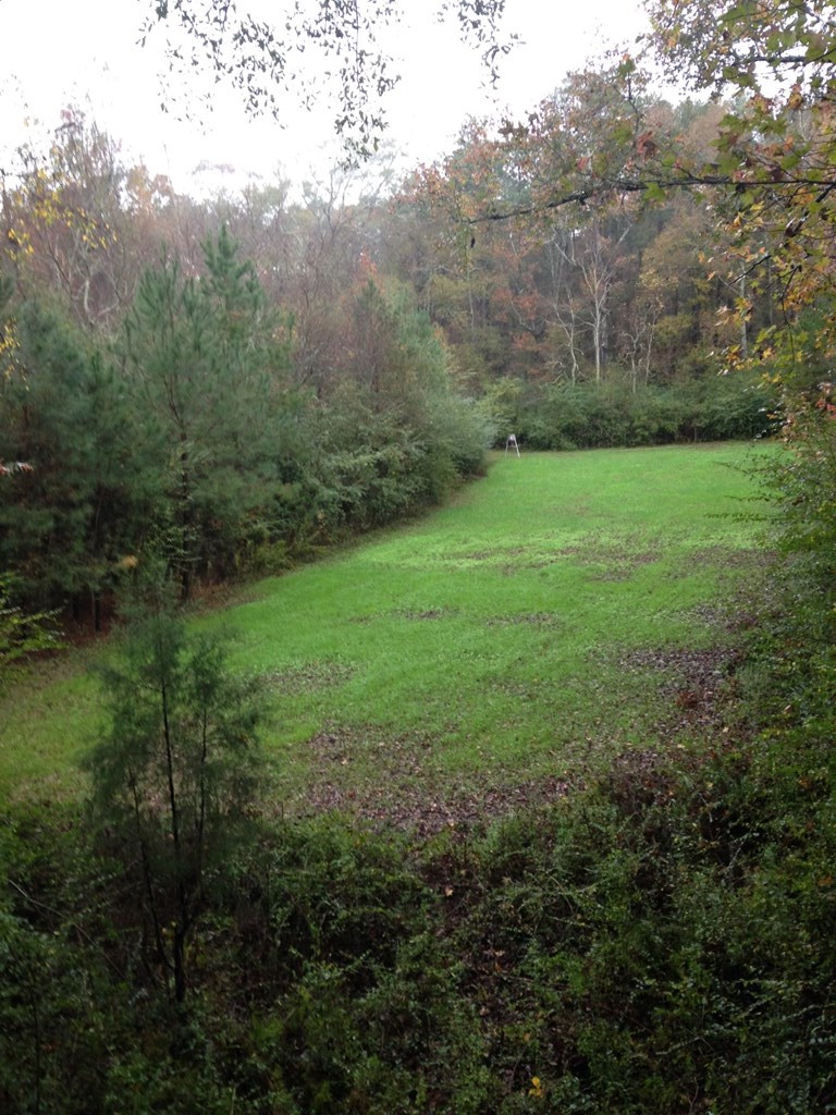 4999 Gibson Road McComb, MS 39648 - Photo 10 of 22 Photo 10