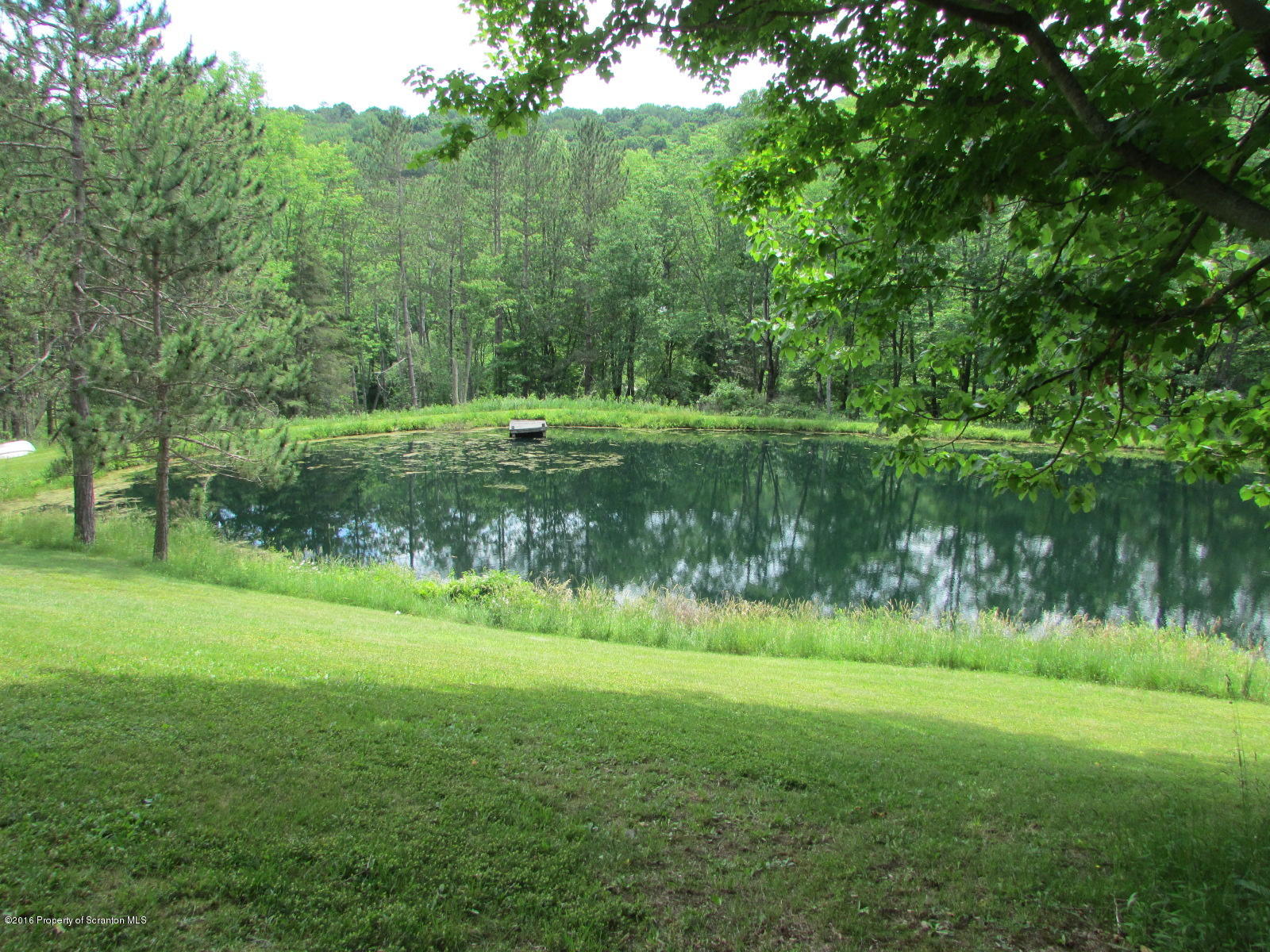 1291 Conroy Road Montrose, PA 18801 - Photo 19 of 34 a view of a park next to a lake view