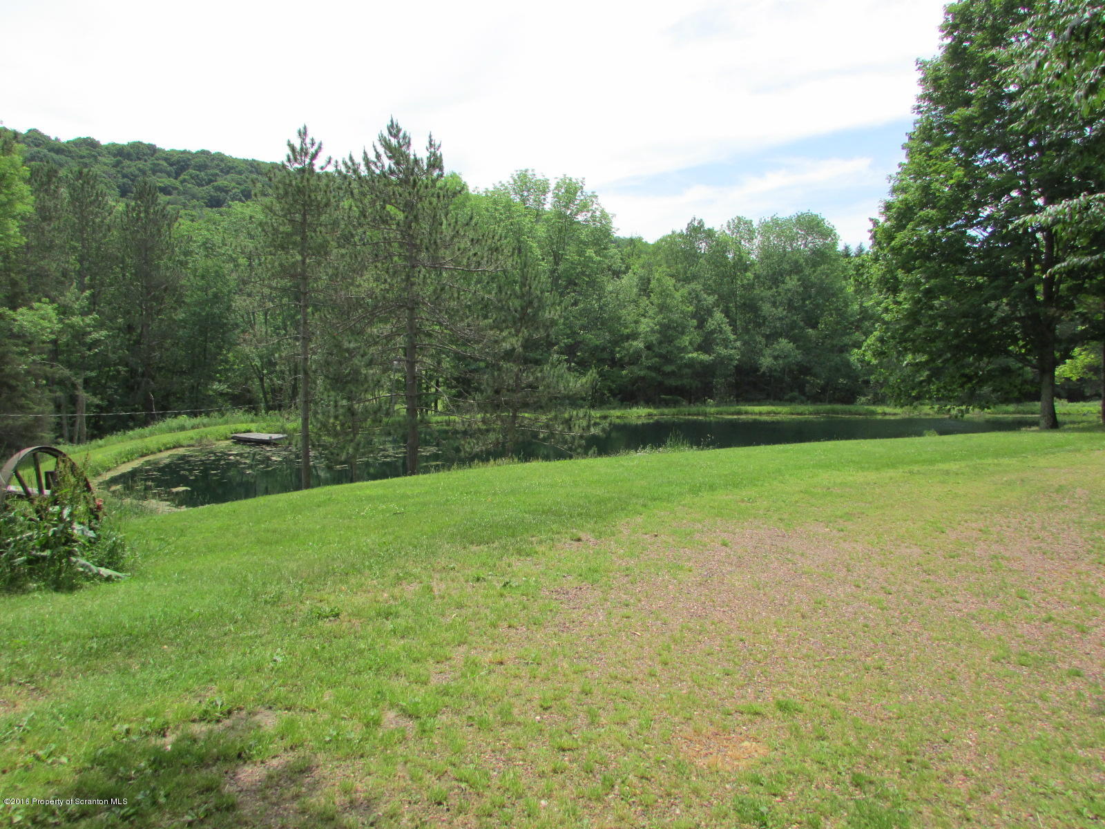 1291 Conroy Road Montrose, PA 18801 - Photo 20 of 34 a view of a garden with trees
