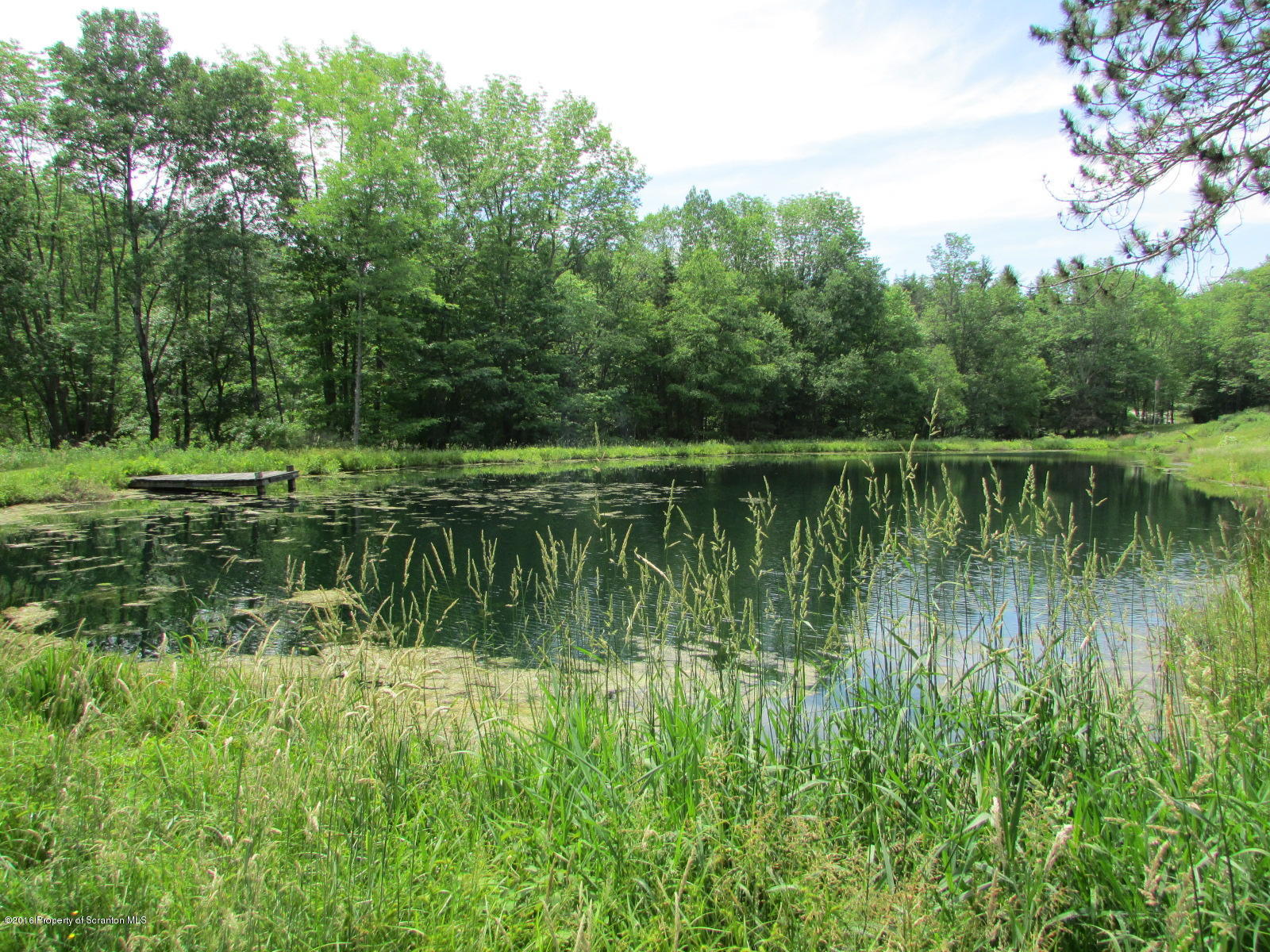 1291 Conroy Road Montrose, PA 18801 - Photo 22 of 34 a view of a lake view with a garden