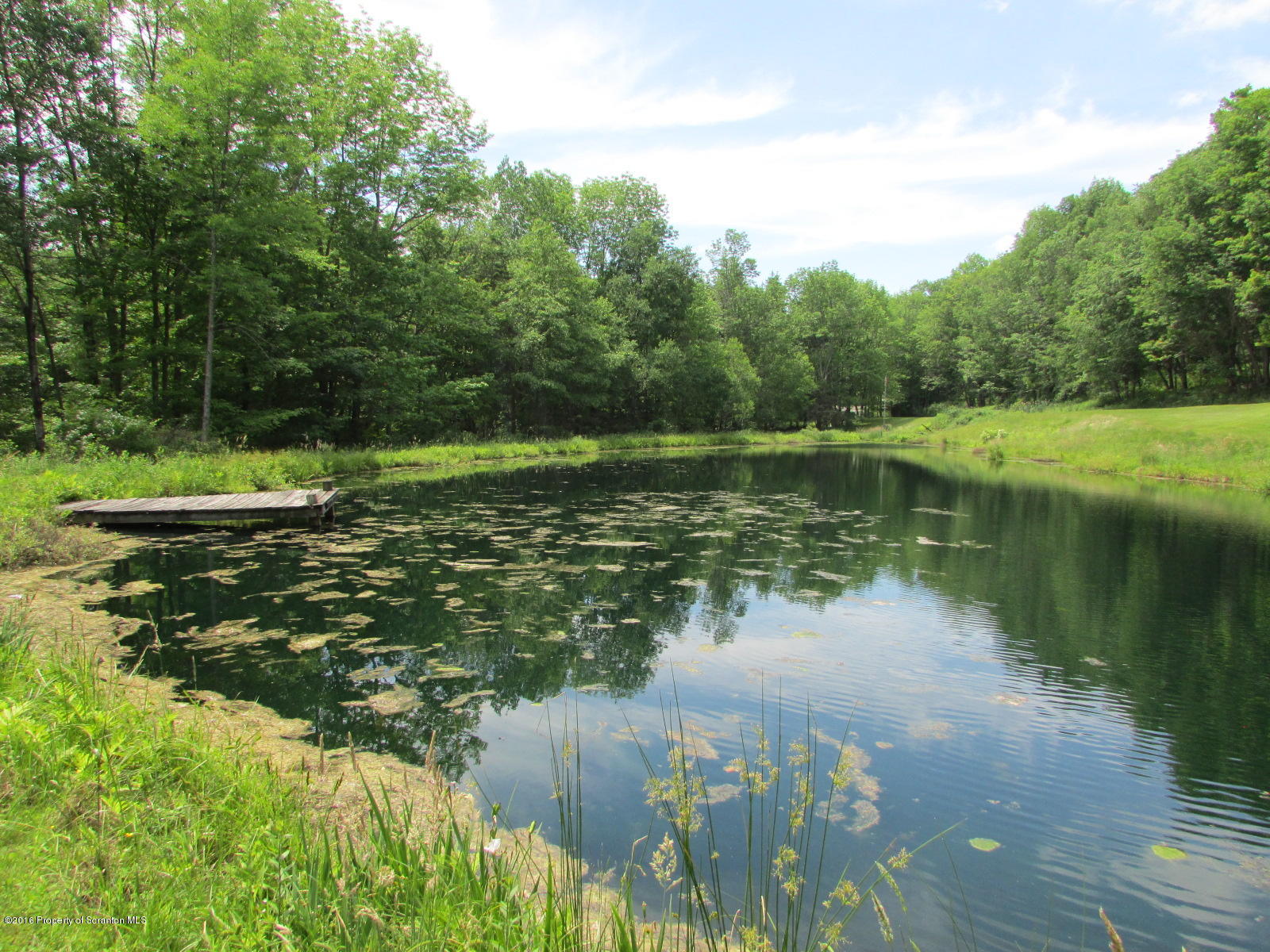 1291 Conroy Road Montrose, PA 18801 - Photo 24 of 34 a view of a lake view with a large trees