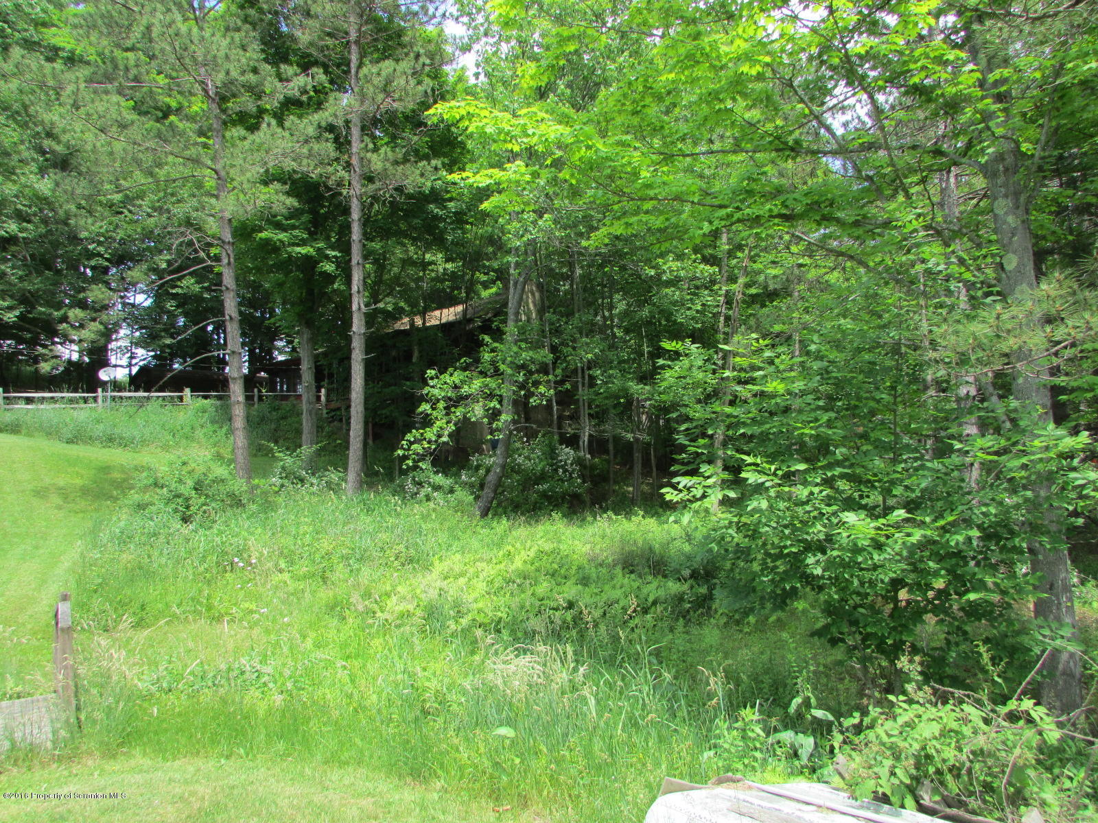 1291 Conroy Road Montrose, PA 18801 - Photo 25 of 34 a view of yard with green space
