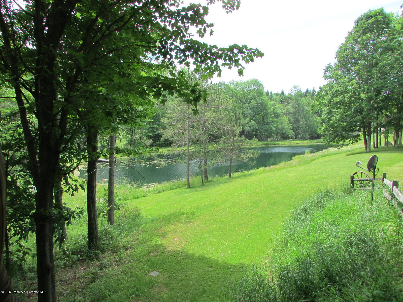 1291 Conroy Road Montrose, PA 18801 - Photo 28 of 34 a view of a park with large trees