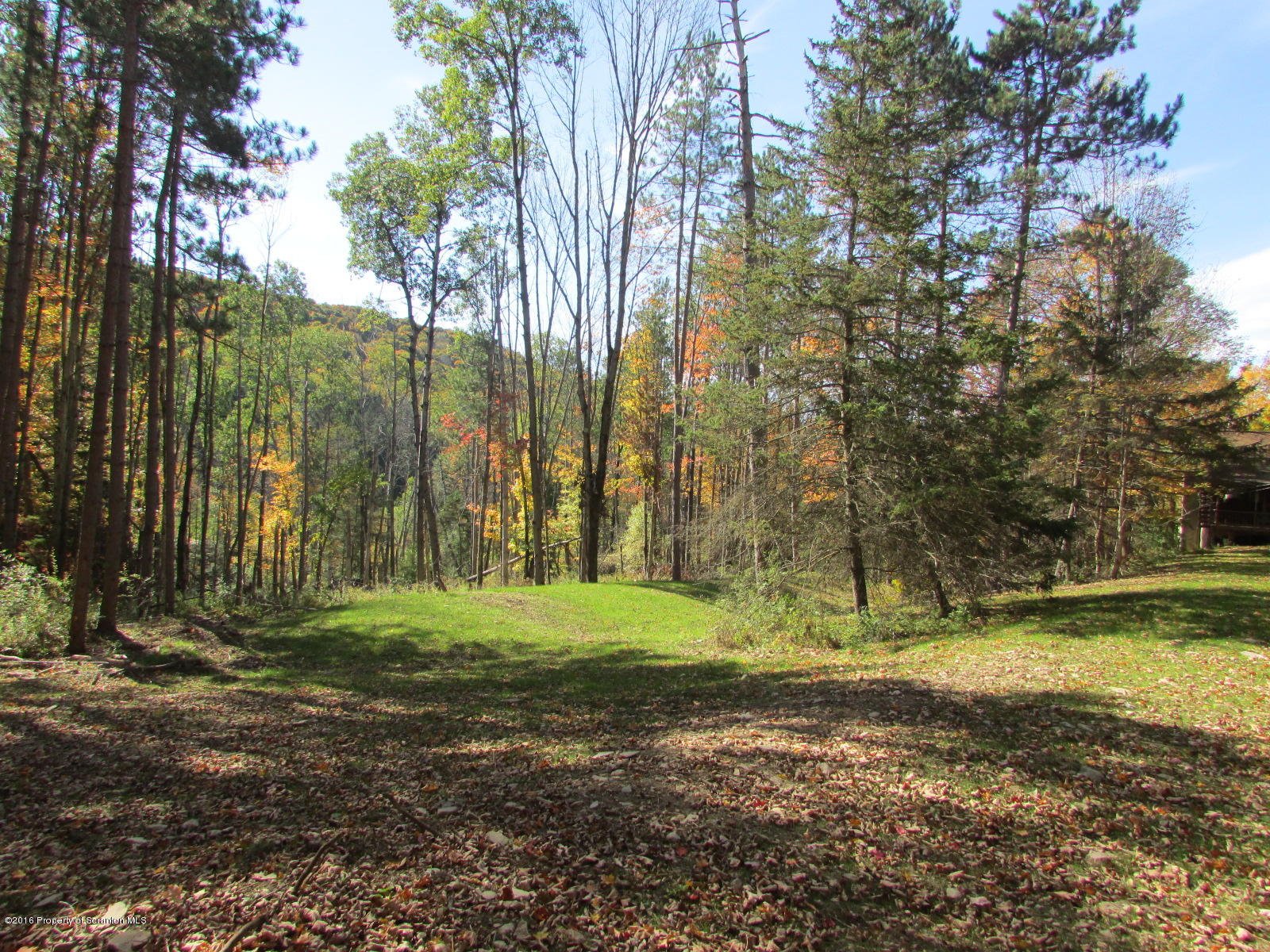 1291 Conroy Road Montrose, PA 18801 - Photo 32 of 34 a view of a park with large trees