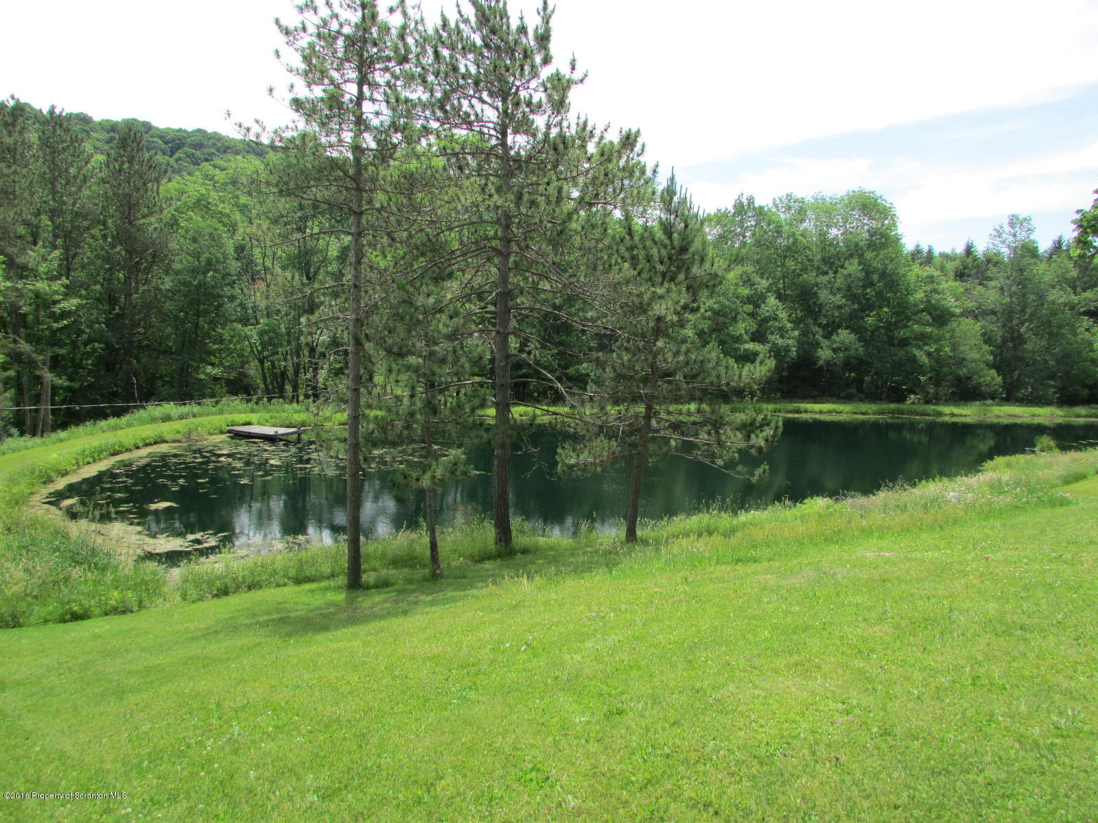 1291 Conroy Road Montrose, PA 18801 - Photo 6 of 34 a view of a lake