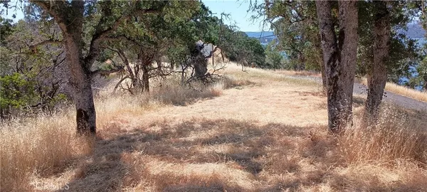 a view of dirt yard and a large tree