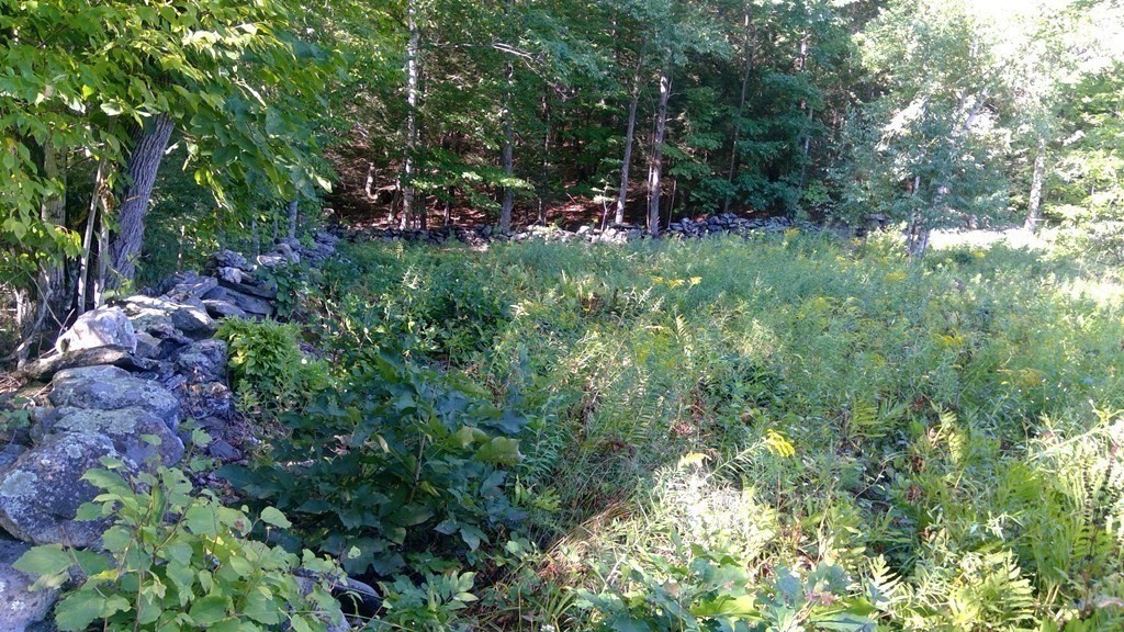 0 Avery Road Charlemont, MA 01339 - Photo 8 of 16 Gallery Image 8