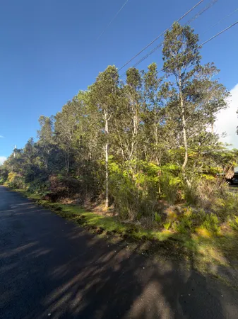a view of a yard