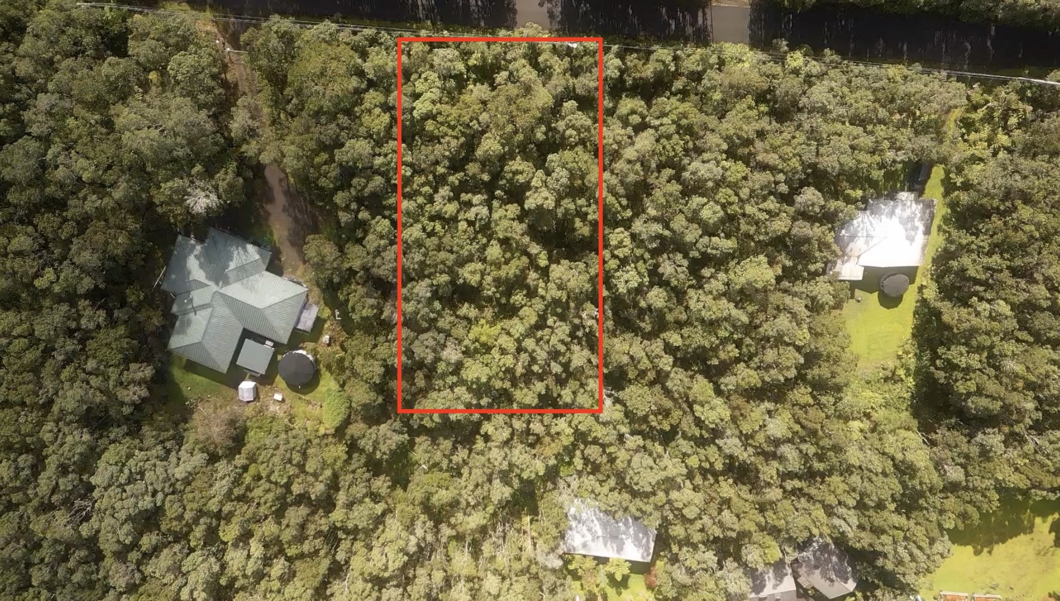 282 3rd Street Volcano, HI 96785 - Photo 3 of 4 a close up of a tree