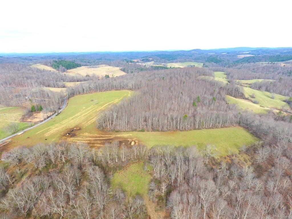 Tbd Tbd Dugpsur Road Dugspur, VA 24325 - Photo 2 of 27 Gallery Image 2