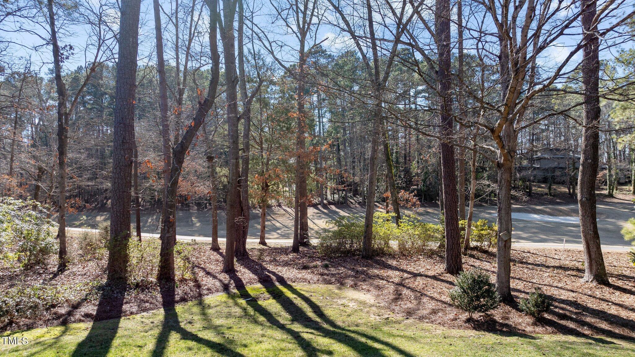 8 Surrey Lane Durham, NC 27707 - Photo 48 of 50 a view of outdoor space and yard