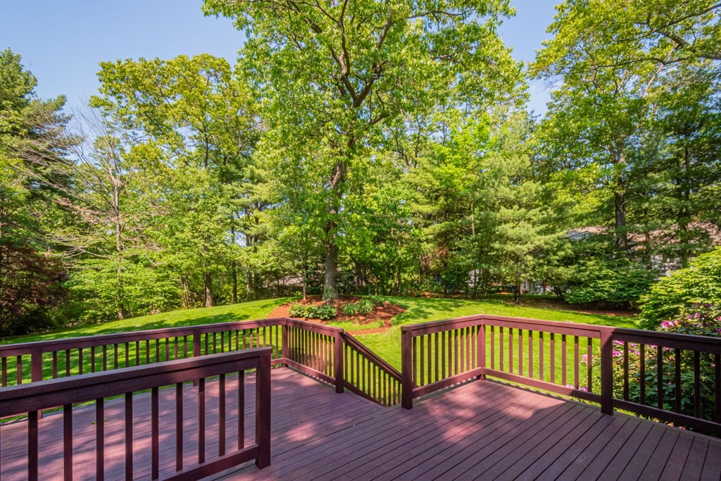 48 Baskin Road Lexington, MA 02421 - Photo 40 of 42 Gallery Image 40