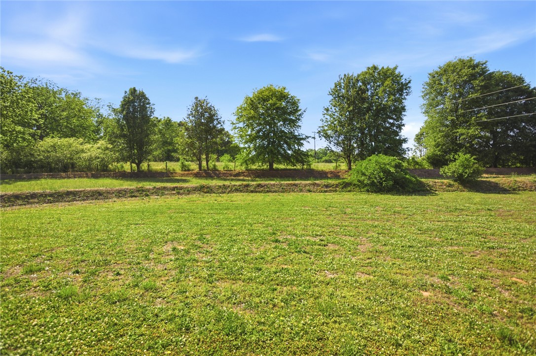 282 West Bennett Road Westminster, SC 29693 - Photo 38 of 42 Expansive green yard with mature trees, offering a serene and open environment.