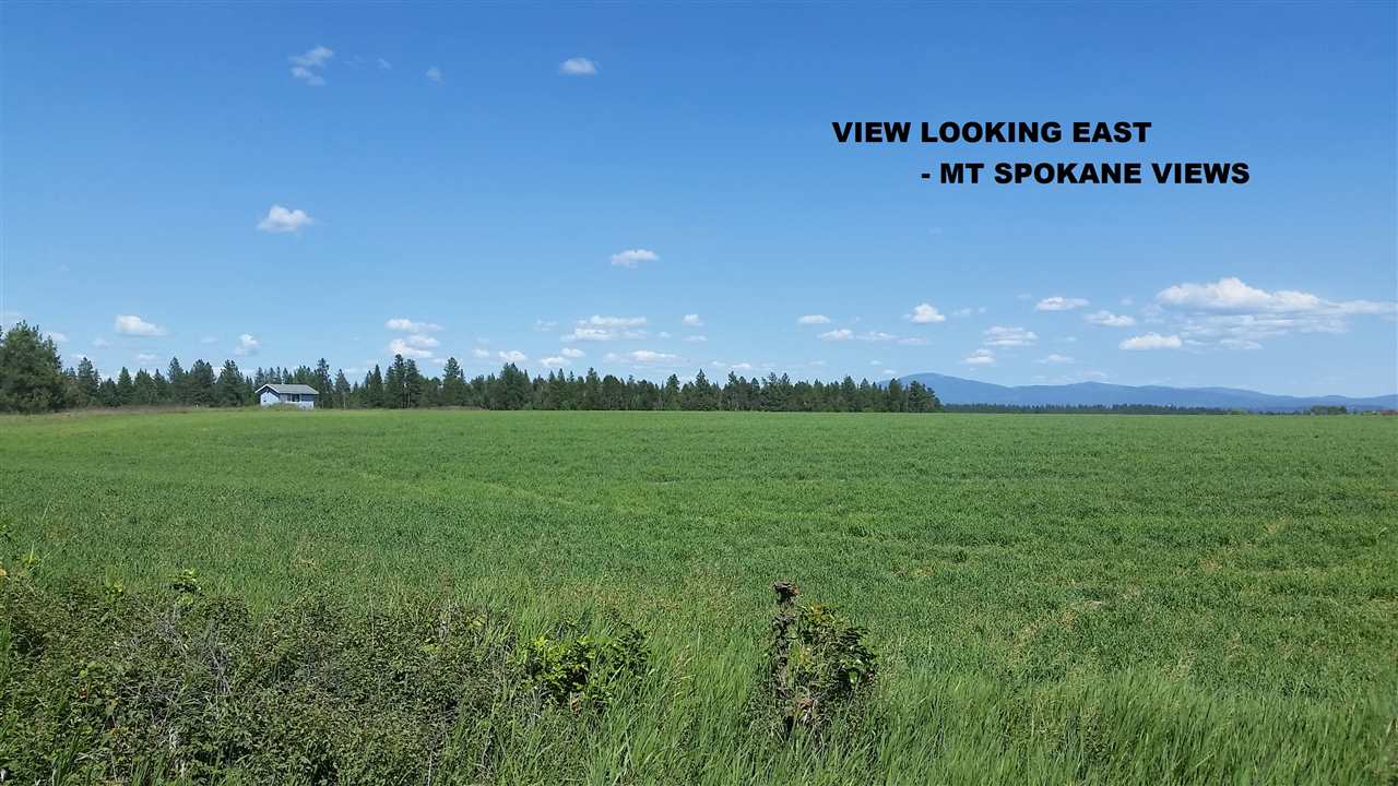 27614 North Spotted Road Deer Park, WA 99006 - Photo 1 of 6 Gallery Image 1