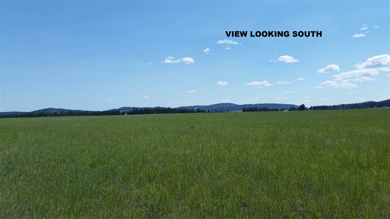 27614 North Spotted Road Deer Park, WA 99006 - Photo 3 of 6 Gallery Image 3