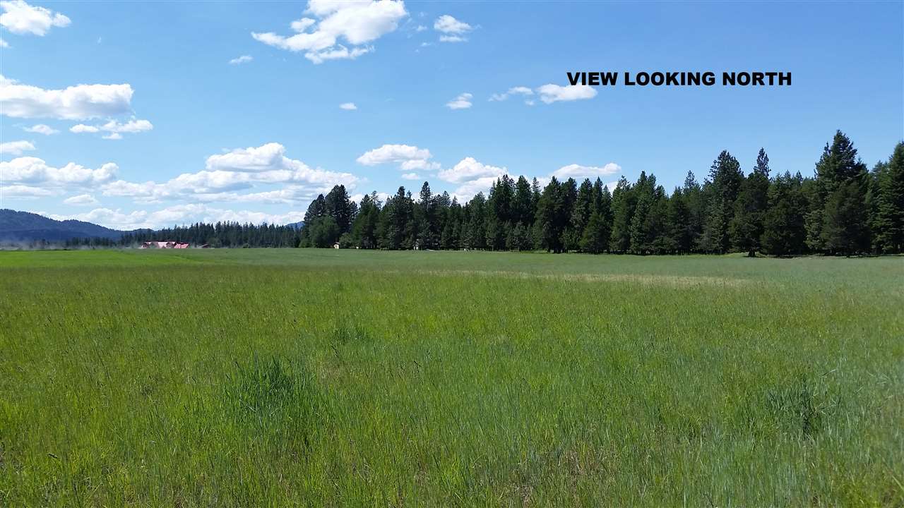 27614 North Spotted Road Deer Park, WA 99006 - Photo 6 of 6 Gallery Image 6