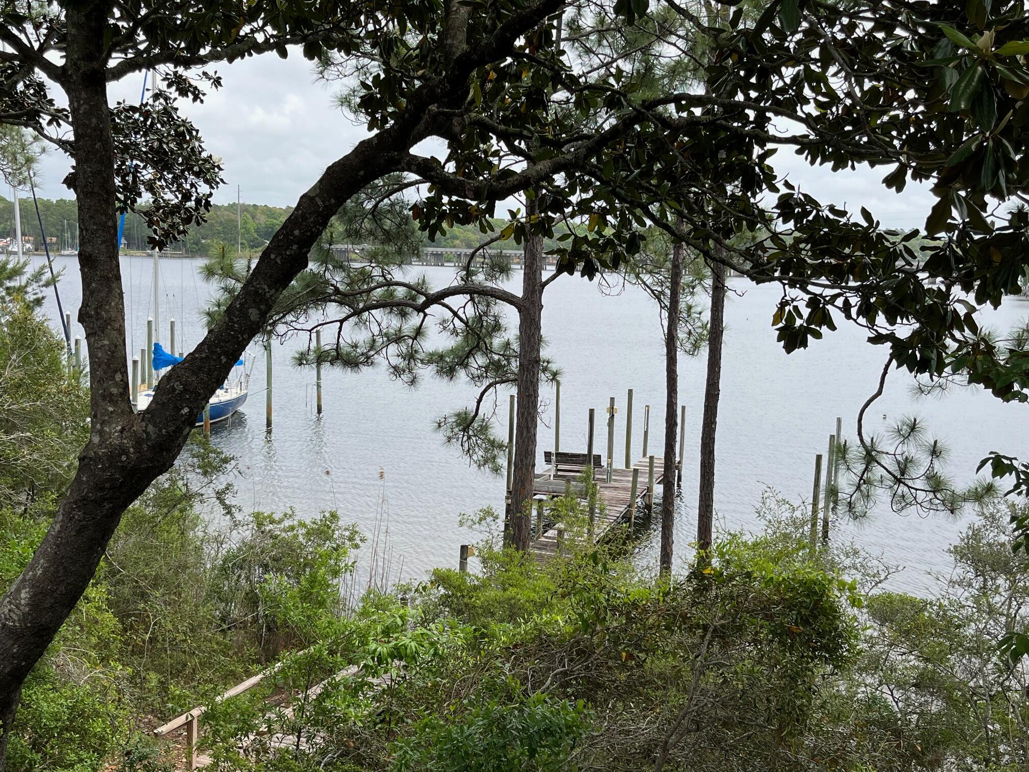 622 Nelson Point Road Niceville, FL 32578 - Photo 2 of 28 a picture of trees