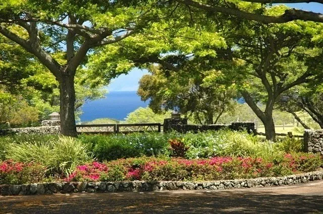 a view of an outdoor space yard and outdoor seating
