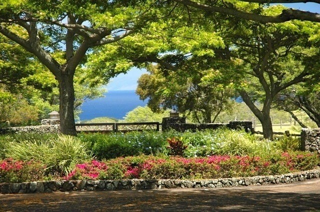 56-135 Lot 8-a Pualani Road Kamuela, HI 96743 - Photo 12 of 28 a bunch of flowers in front of flowers