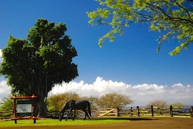 a view of an ocean an ocean view