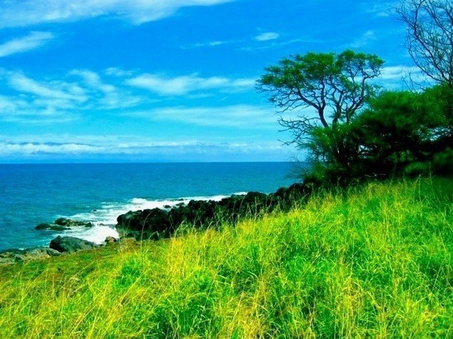 56-135 Lot 8-a Pualani Road Kamuela, HI 96743 - Photo 18 of 28 a view of a lake with a yard