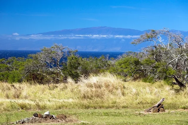 a view of a yard with an ocean view