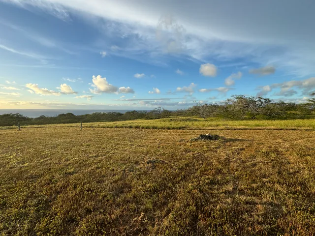 a view of a lake with a yard